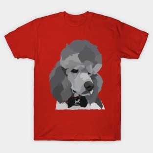 Poodle dog T-Shirt